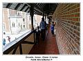 IMG_6313_RD