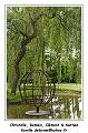 IMG_6379_RD