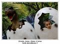 IMG_7280_RD