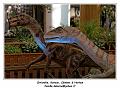 IMG_7323_RD