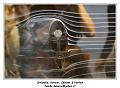 IMG_7200_RD