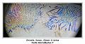 IMG_7237_RD