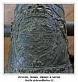 IMG_5021_RD