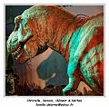 IMG_4066_RD