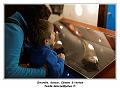 IMG_4074_RD