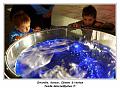 IMG_4183_RD