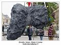 IMG_5536_RD