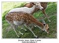 IMG_5734_RD