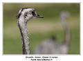 IMG_5761_RD