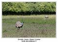 IMG_5779_RD