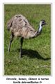 IMG_5785_RD