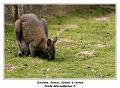 IMG_5841_RD