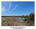 DSC05858_RD