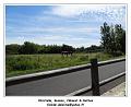 DSC05874_RD