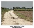 DSC06281_RD