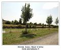 DSC06316_RD