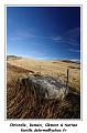 IMG_7877_RD