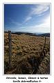 IMG_7887_RD