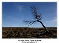 IMG_7920_RD