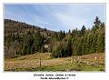 IMG_7828_RD