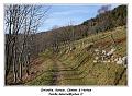 IMG_7858_RD