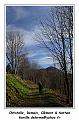 IMG_7860_RD