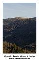 IMG_8263_RD