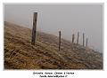 IMG_8137_RD