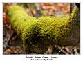 IMG_8147_RD