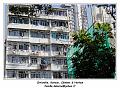 IMG_1817_RD