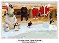 IMG_20161222_151344_RD