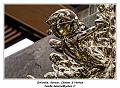 IMG_3189_RD