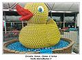 IMG_20161229_224347_RD