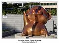 IMG_1836_RD
