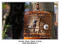 IMG_1801_RD