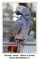 IMG_1804_RD