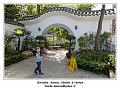 IMG_1806_RD