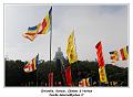 IMG_2339_RD