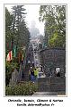 IMG_2354_RD