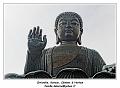 IMG_2370_RD