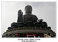 IMG_2376_RD