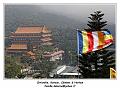 IMG_2383_RD
