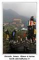 IMG_2384_RD