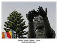 IMG_2395_RD