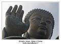 IMG_2401_RD