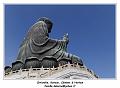 IMG_2406_RD