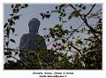 IMG_2413_RD
