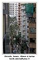 IMG_2445_RD