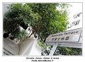 IMG_2458_RD_1