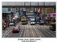 IMG_2487_RD
